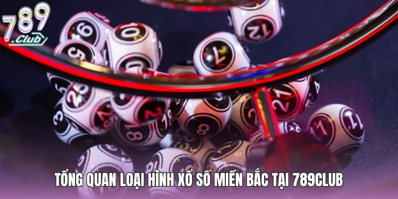 Xsmb Hôm Nay - Hấp Dẫn Với Từng Con Lô Nổi Bật 2026 2 Tổng quan loại hình xổ số miền bắc tại 789club